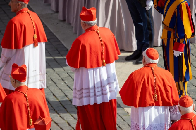 These are the cardinals from the U.S. and Canada participating in the conclave