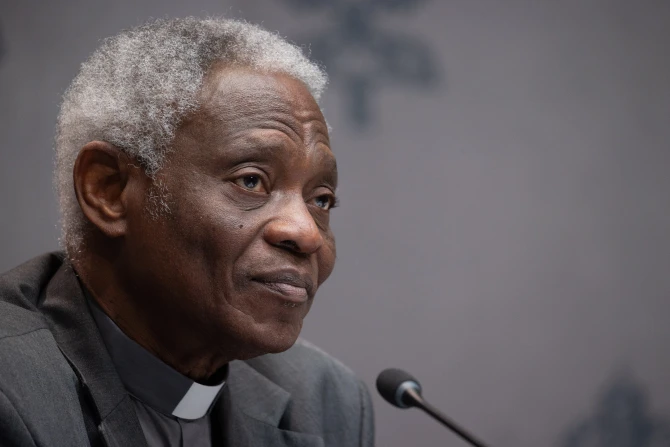 Experts Champion Catholic Church’s Role To Promote Child Safety In AI Sphere