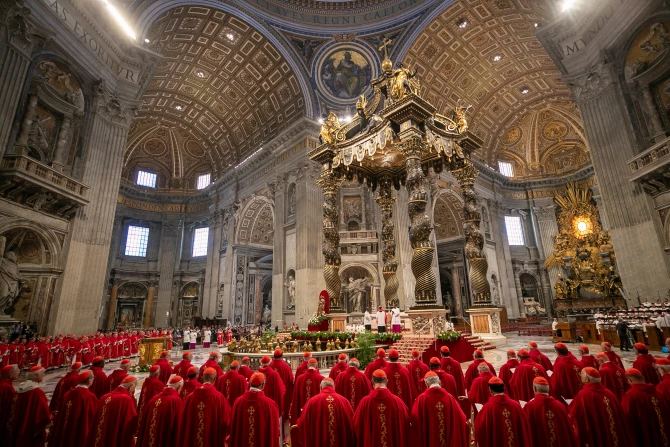 Who are the cardinals who will choose the next pope?