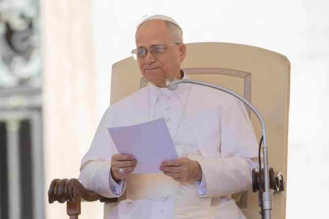 Pope Leo XIV: Before being believers, we are called to be human
