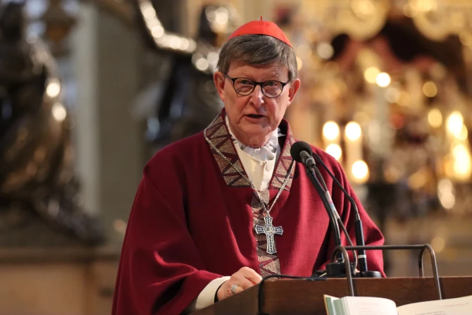 Cardinal Woelki expects longer papal conclave than swift election of Pope Francis